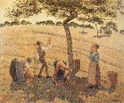 Camille Pissarro Pick Apple china oil painting reproduction